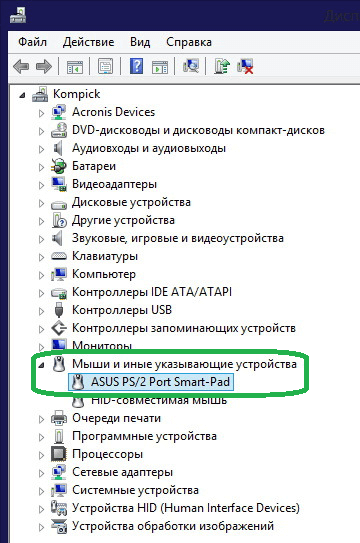 Почему не работает тачпад на ноутбуке. Мыши и иные указывающие устройства. Как обозначается тачпад в диспетчере устройств. MTD устройства в ноутбуке что это.